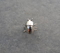 Bobby the beetle ring