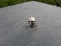 Clyde the beetle ring